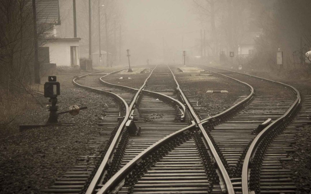 Vocation and free will